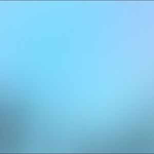 Meet your Posher, Katija